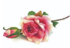 HICKMAN, Helen Marjory (née Godbold)